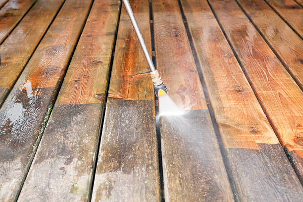 Best Roof Pressure Washing  in Union, NJ